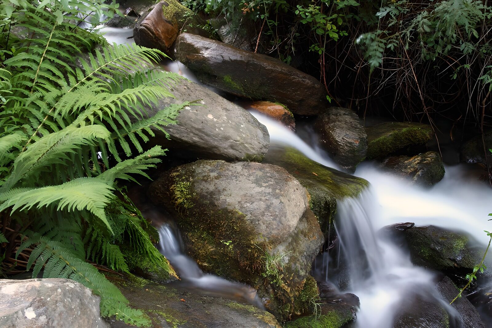 OCCOM5946663: Tranquil Stream Flowing Over Stones