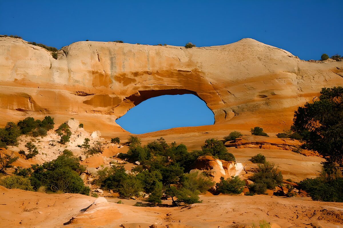 Nature's Marvel: The Rock Arch