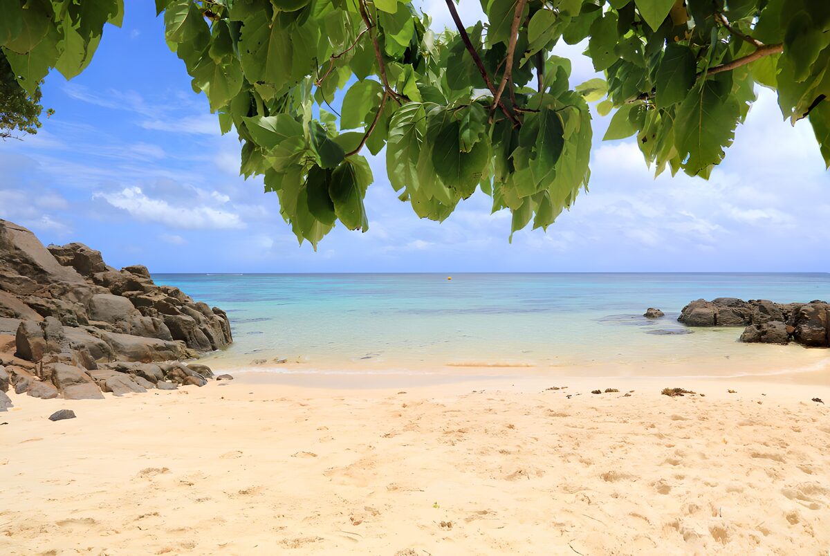 OCCOM6992241: Serene Tropical Beach Escape