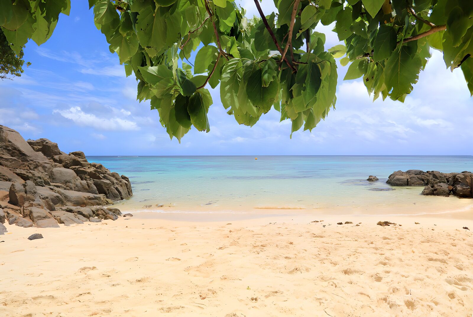 OCCOM6992241: Serene Tropical Beach Escape