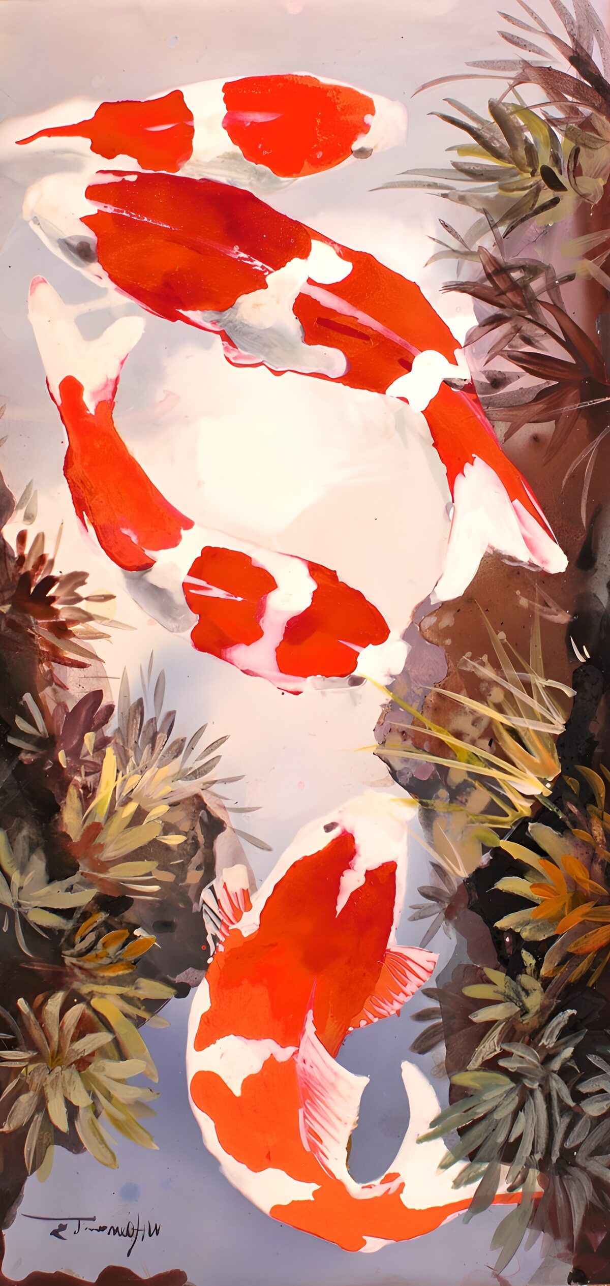 Graceful Koi in Tranquil Waters