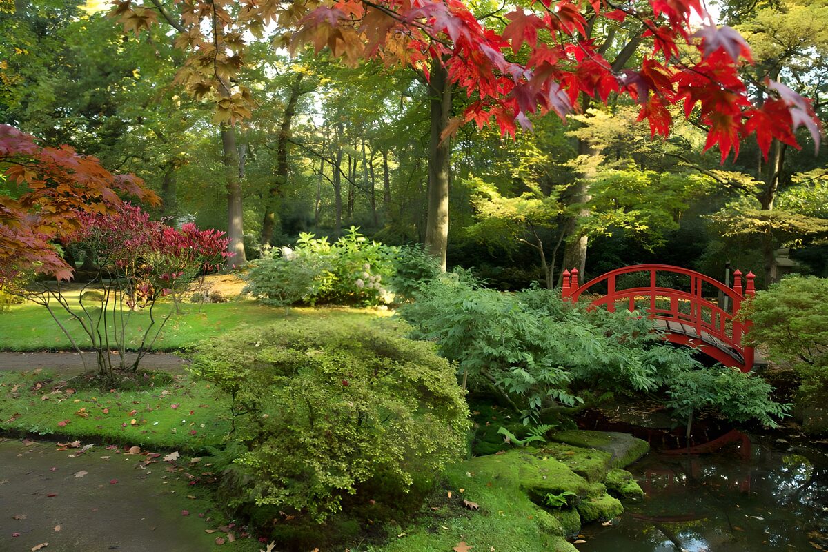 OCCOM9505528: Serene Garden with a Red Bridge