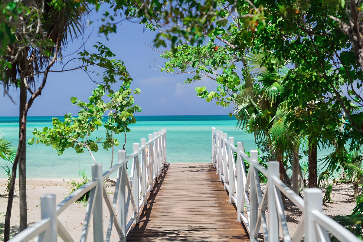 OCCOM1659994: Tranquil Path to Paradise