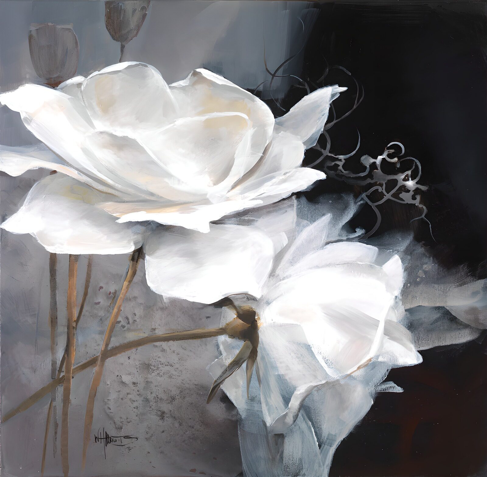 OCCOM3569459: Elegant White Roses in Monochrome