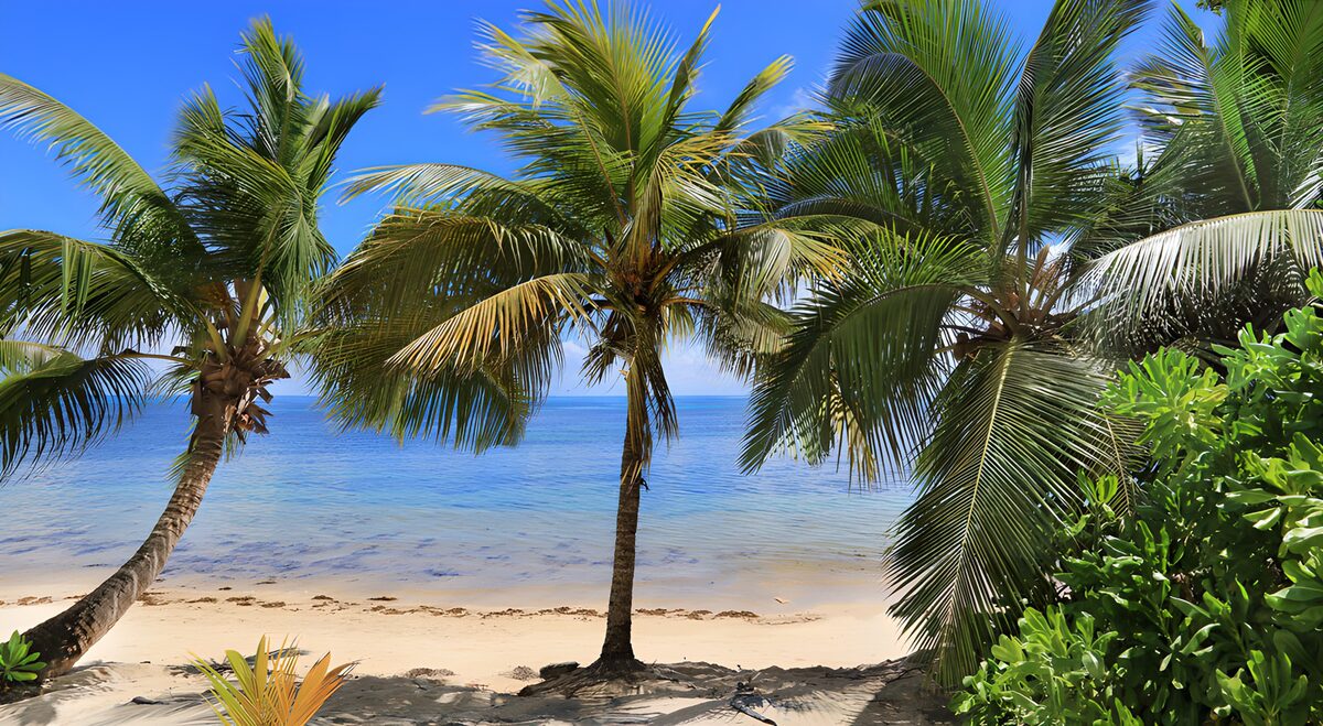 OCCOM8700053: Tropical Oasis by the Sea