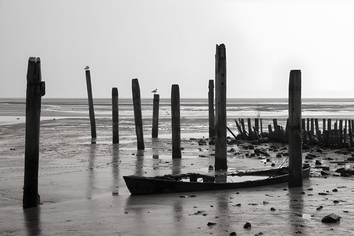 OCCOM7632112: Abandoned Whispers of the Shore