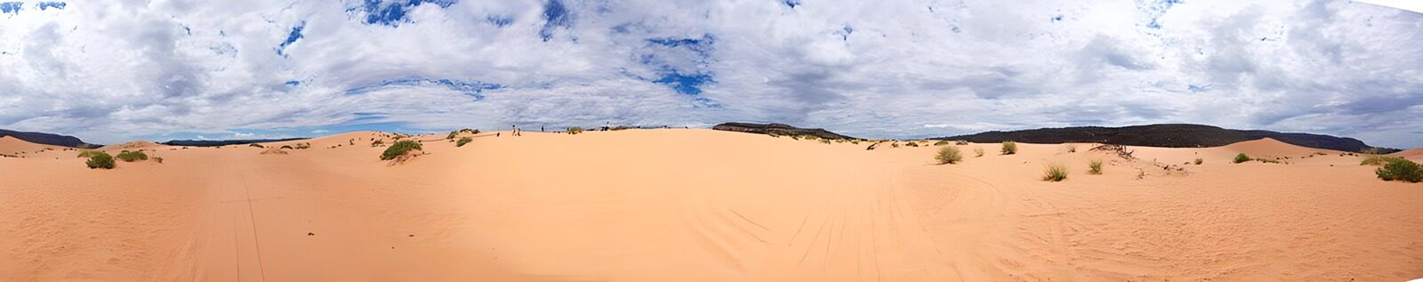 OCCOM5633079: Expansive Desert Horizon