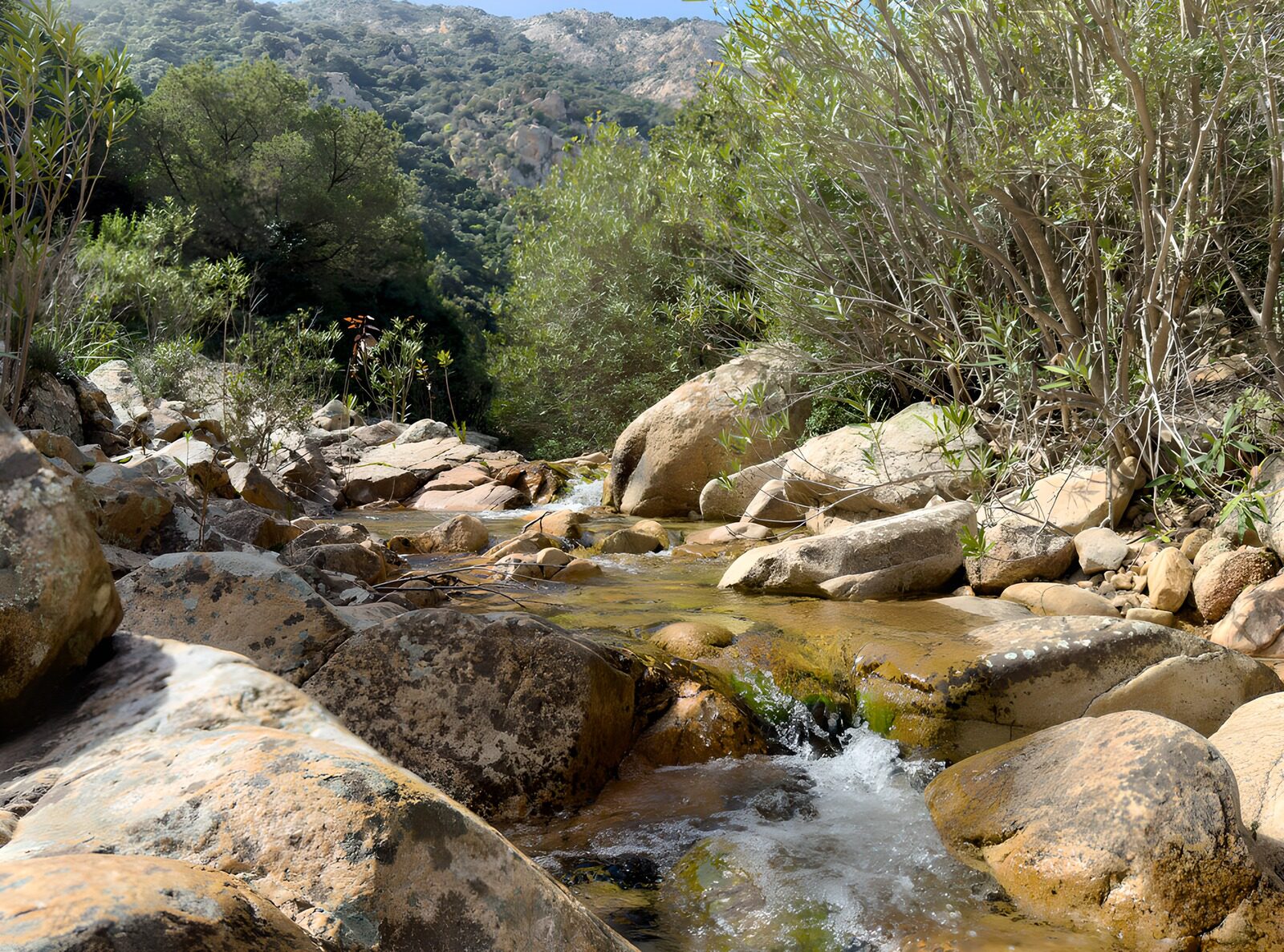 OCCOM7221845: Tranquil Stream in Rocky Landscape