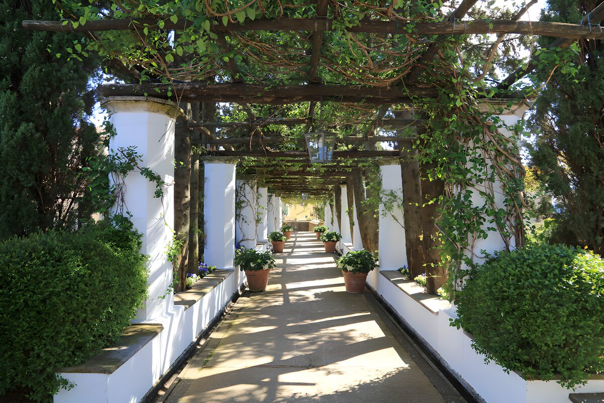 OCCOM7468110: Serene Garden Pathway