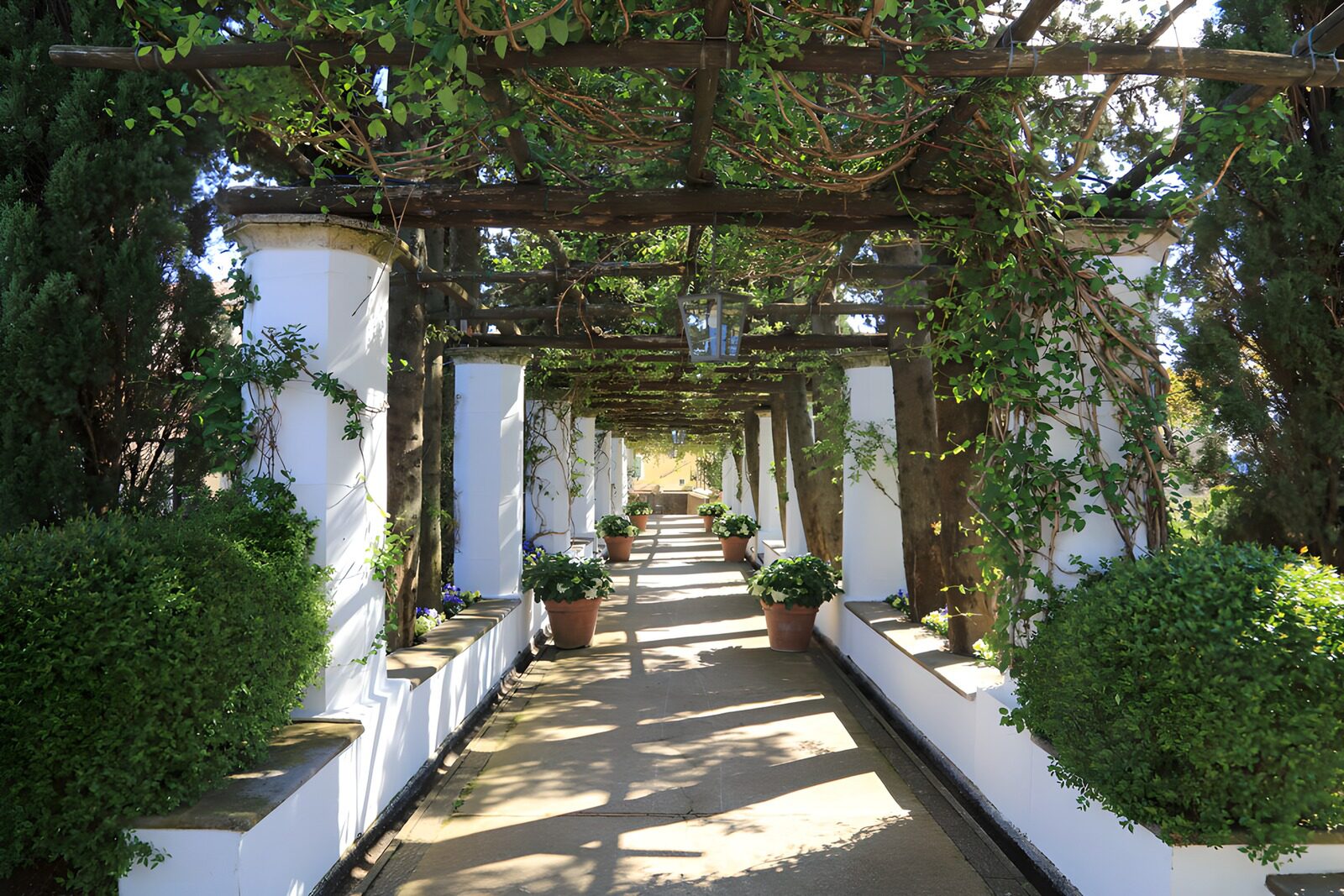 OCCOM7468110: Serene Garden Pathway