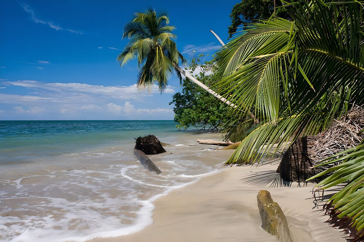 OCCOM9171641: Serene Beach Paradise