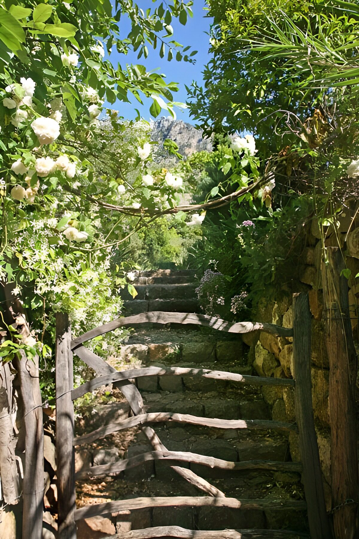 Enchanted Garden Pathway