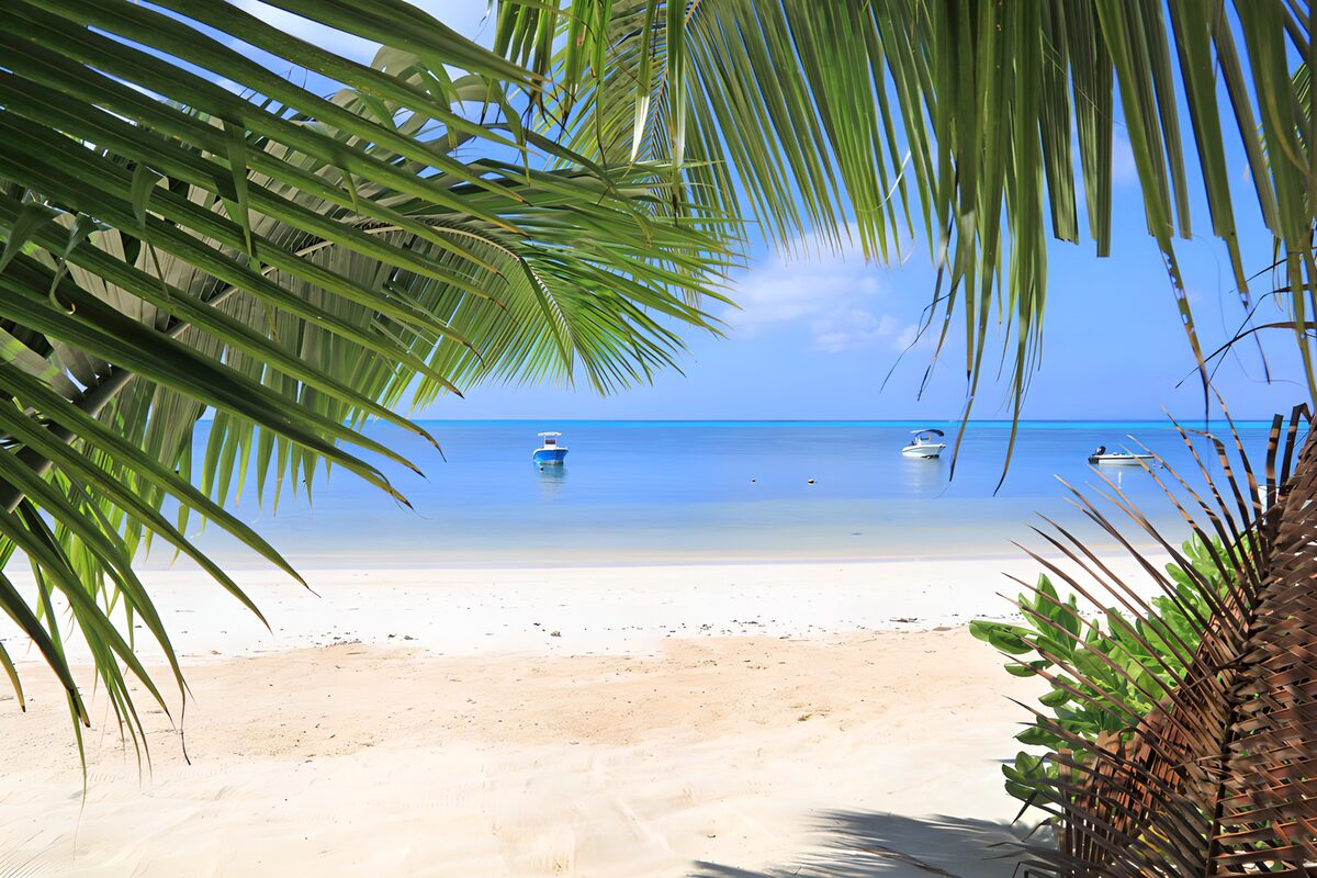 Tranquil Beach View with Boats