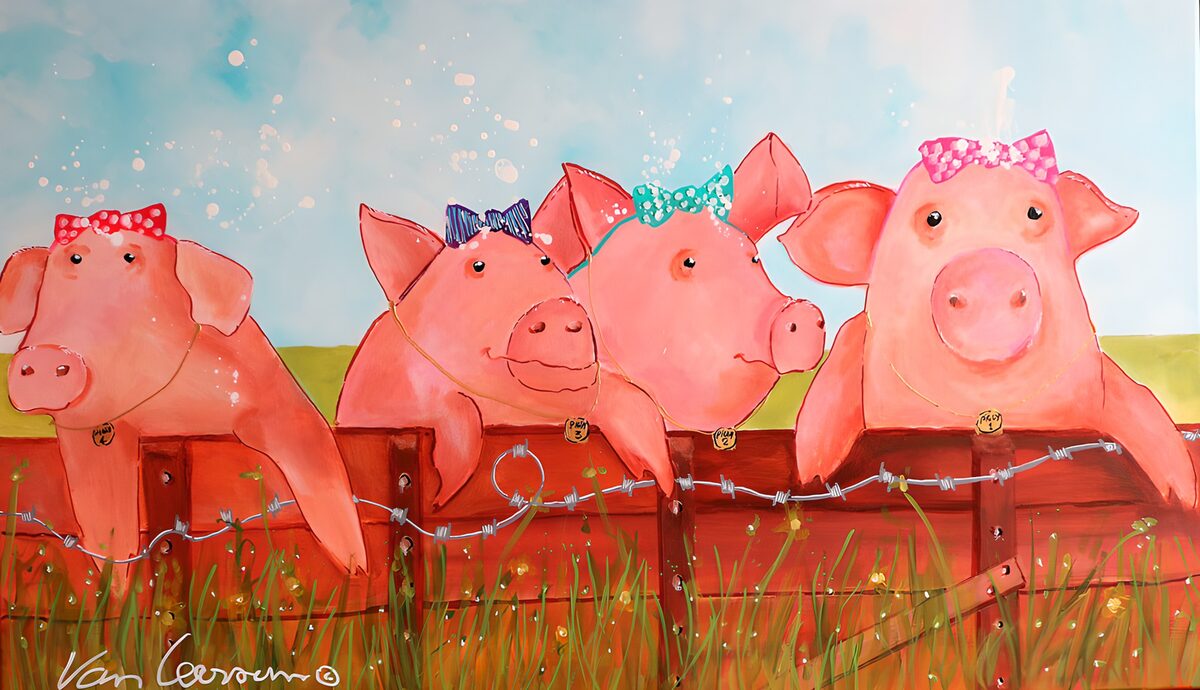 Charming Piglets by the Fence