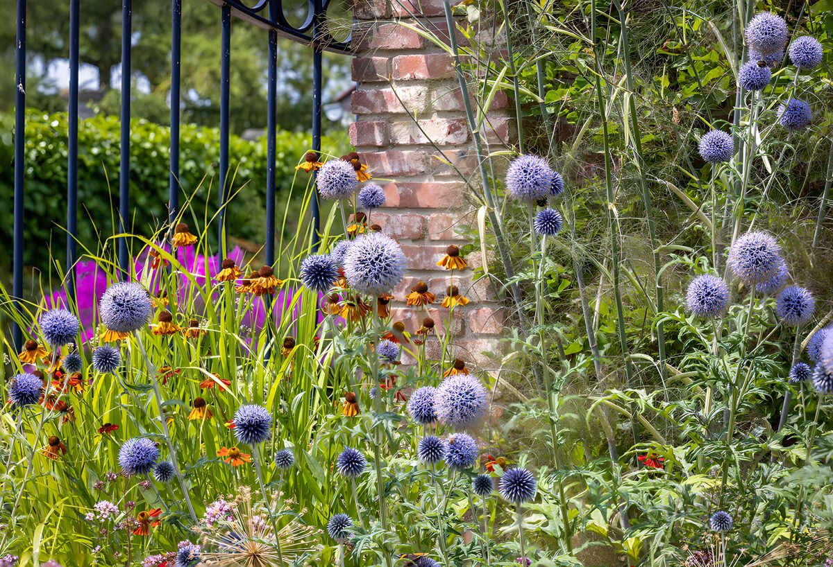 OCCOM8806575: Vibrant Garden Blooms