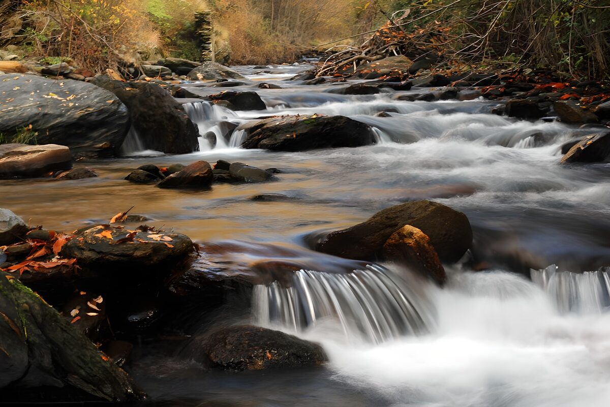 OCCOM5503143: Serene Stream in Autumn