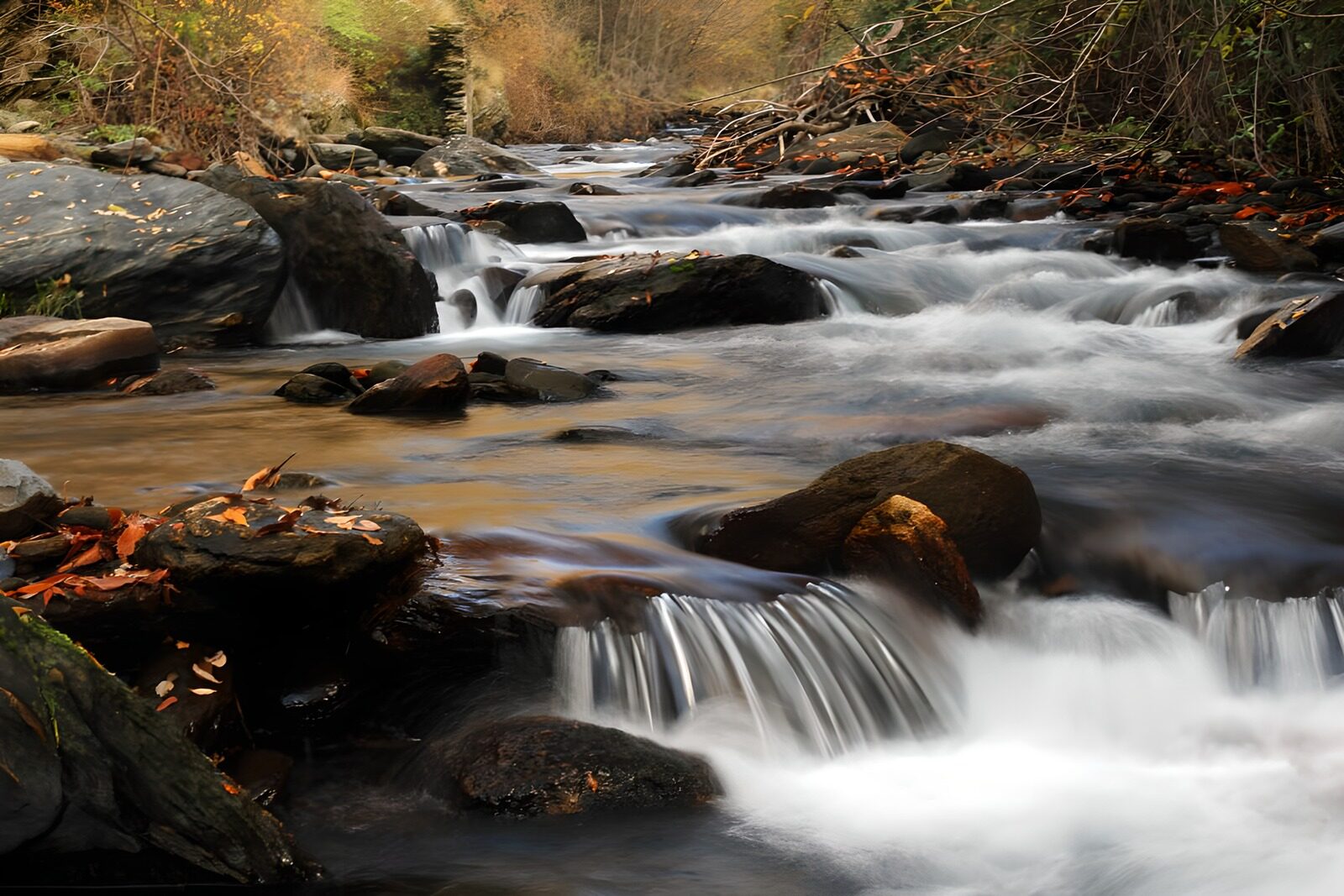 OCCOM5503143: Serene Stream in Autumn