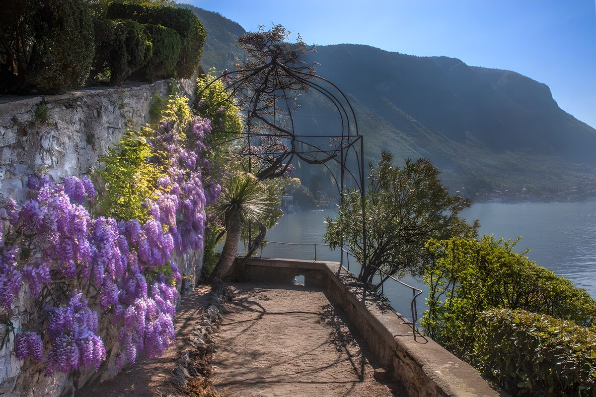 Serene Lakeside Garden Escape