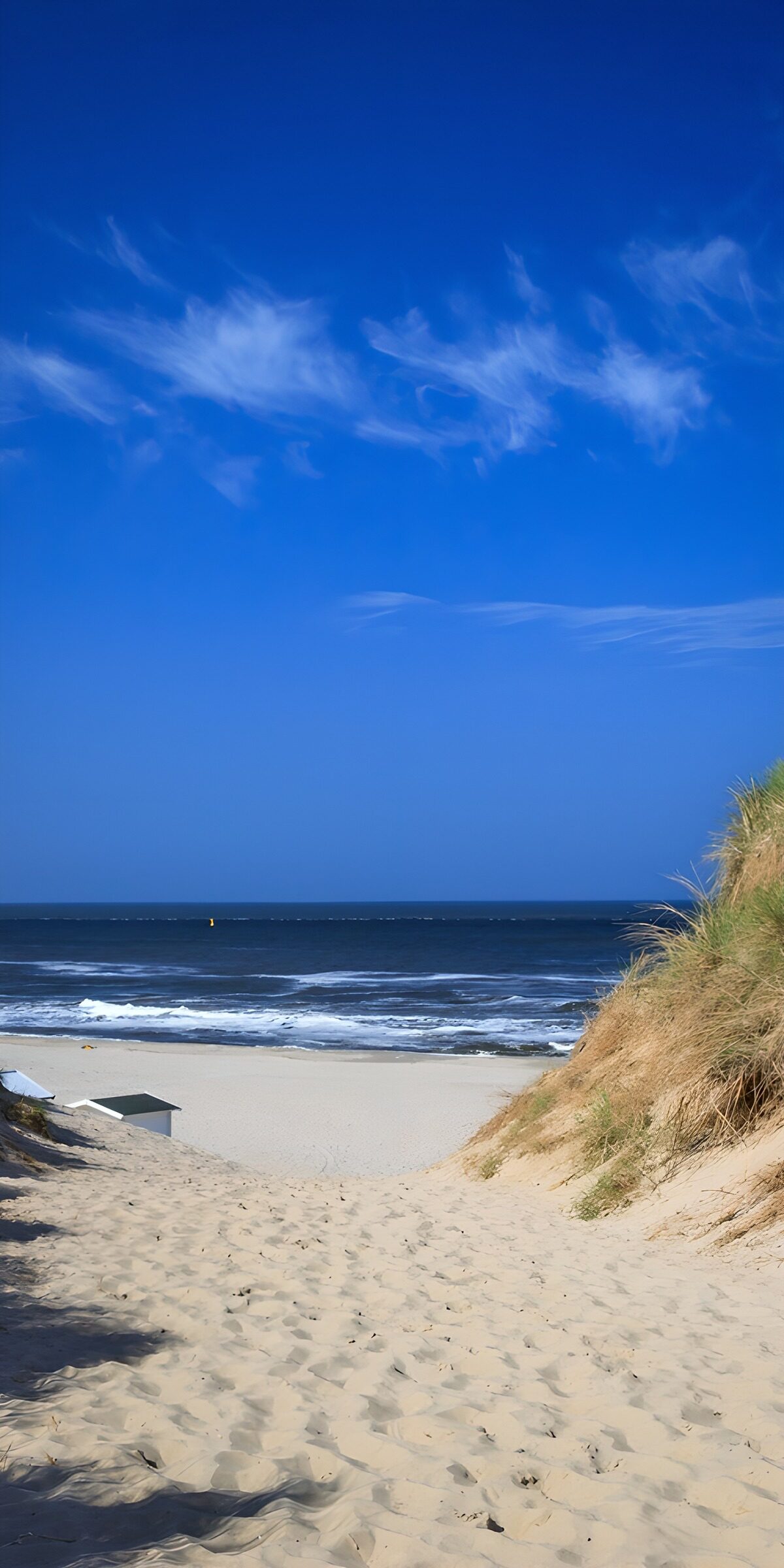 OCCOM7364406: Pathway to Tranquil Beach