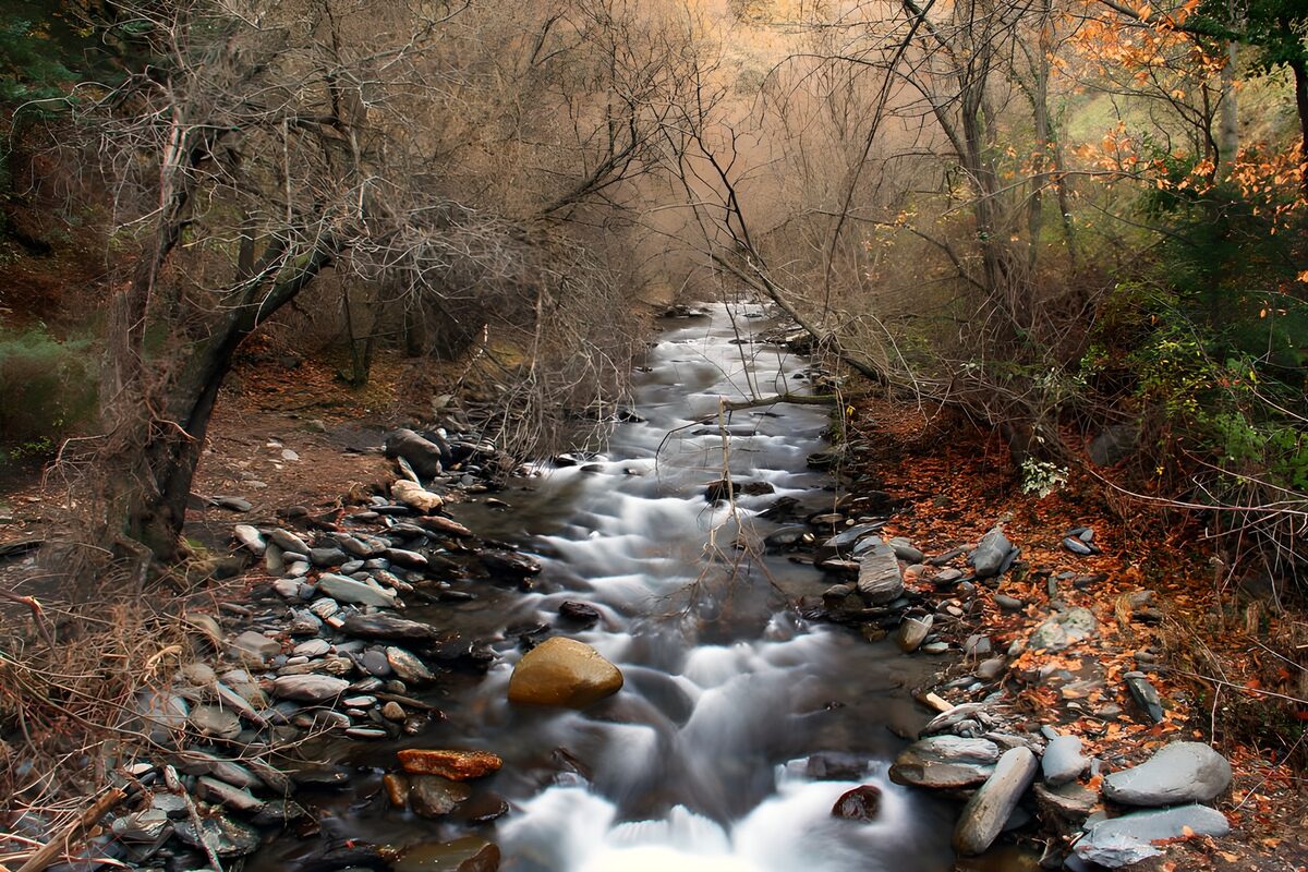 Tranquil River in Autumn's Embrace