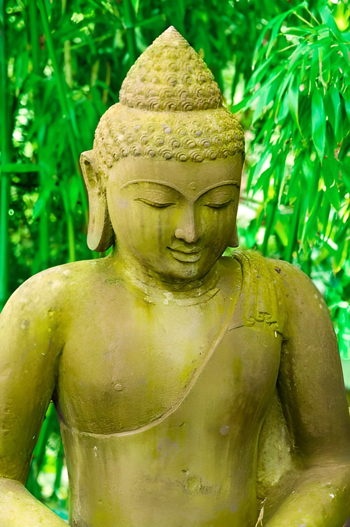 Serene Buddha Sculpture in Nature