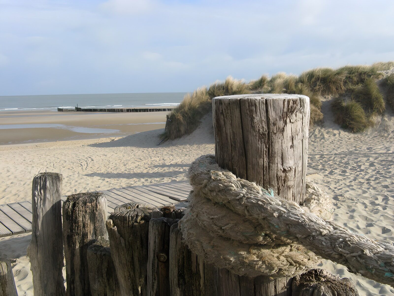OCCOM7500412: Coastal Serenity with Weathered Wood