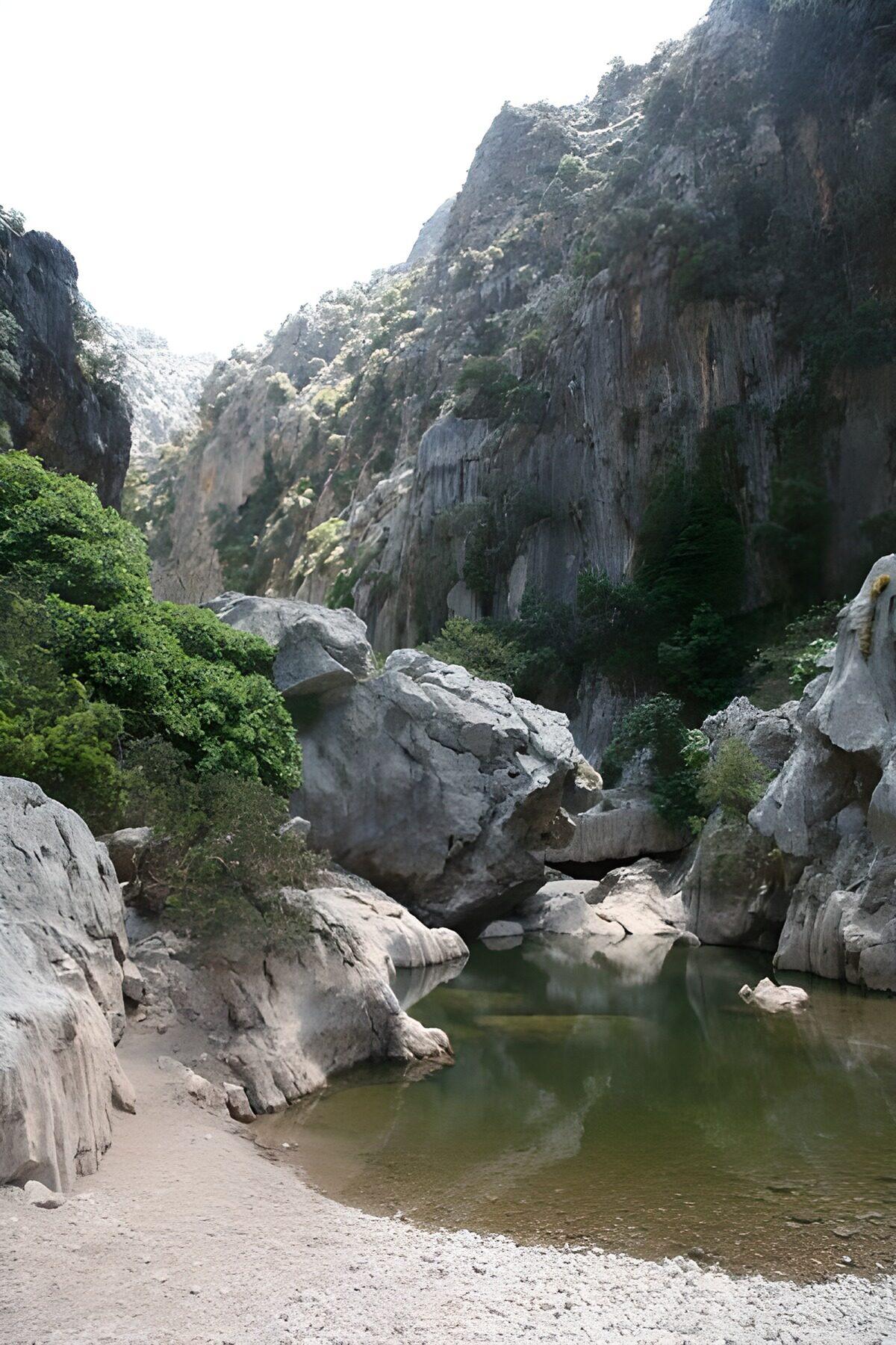 OCCOM5874536: Tranquil Canyon Reflection