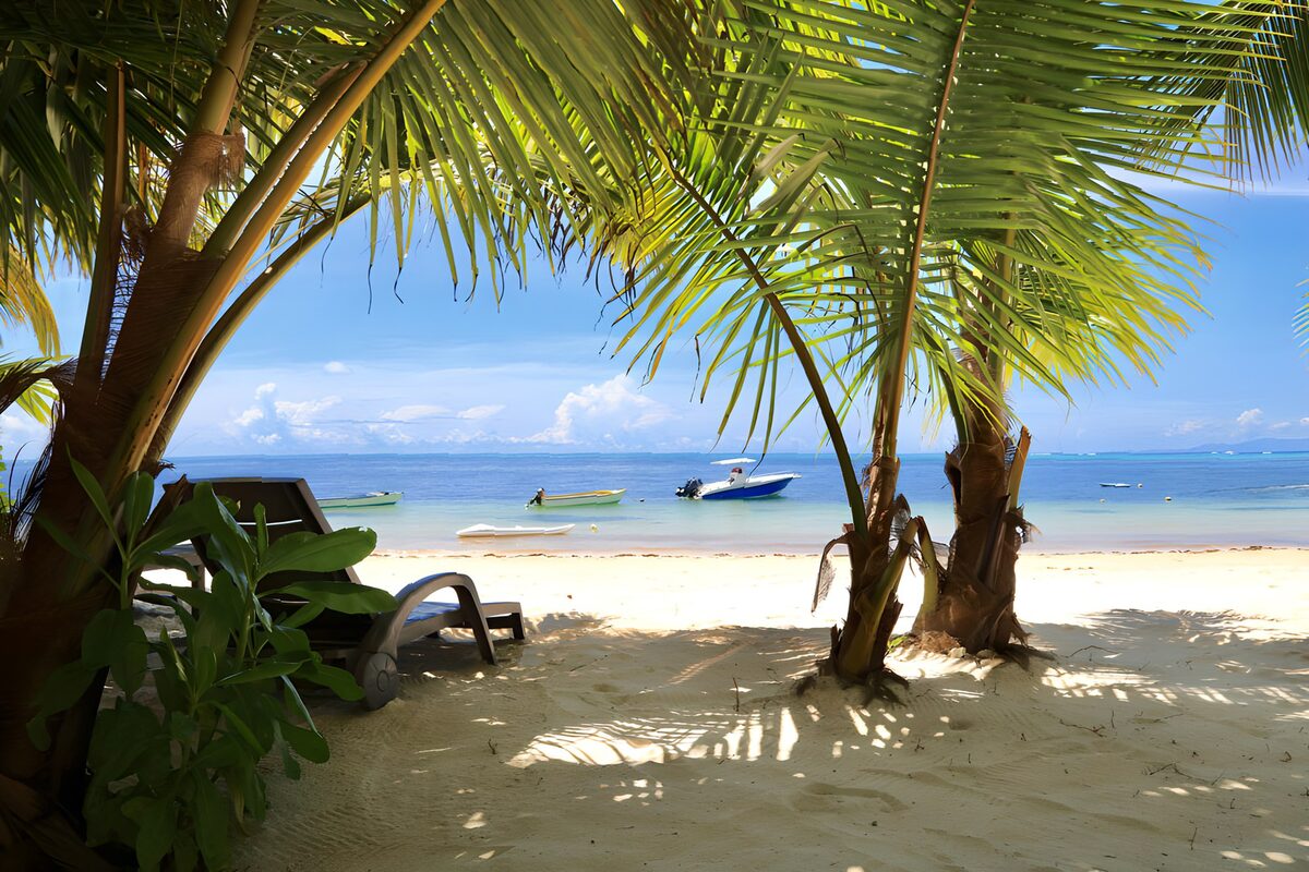 OCCOM7120532: Tropical Beach Paradise