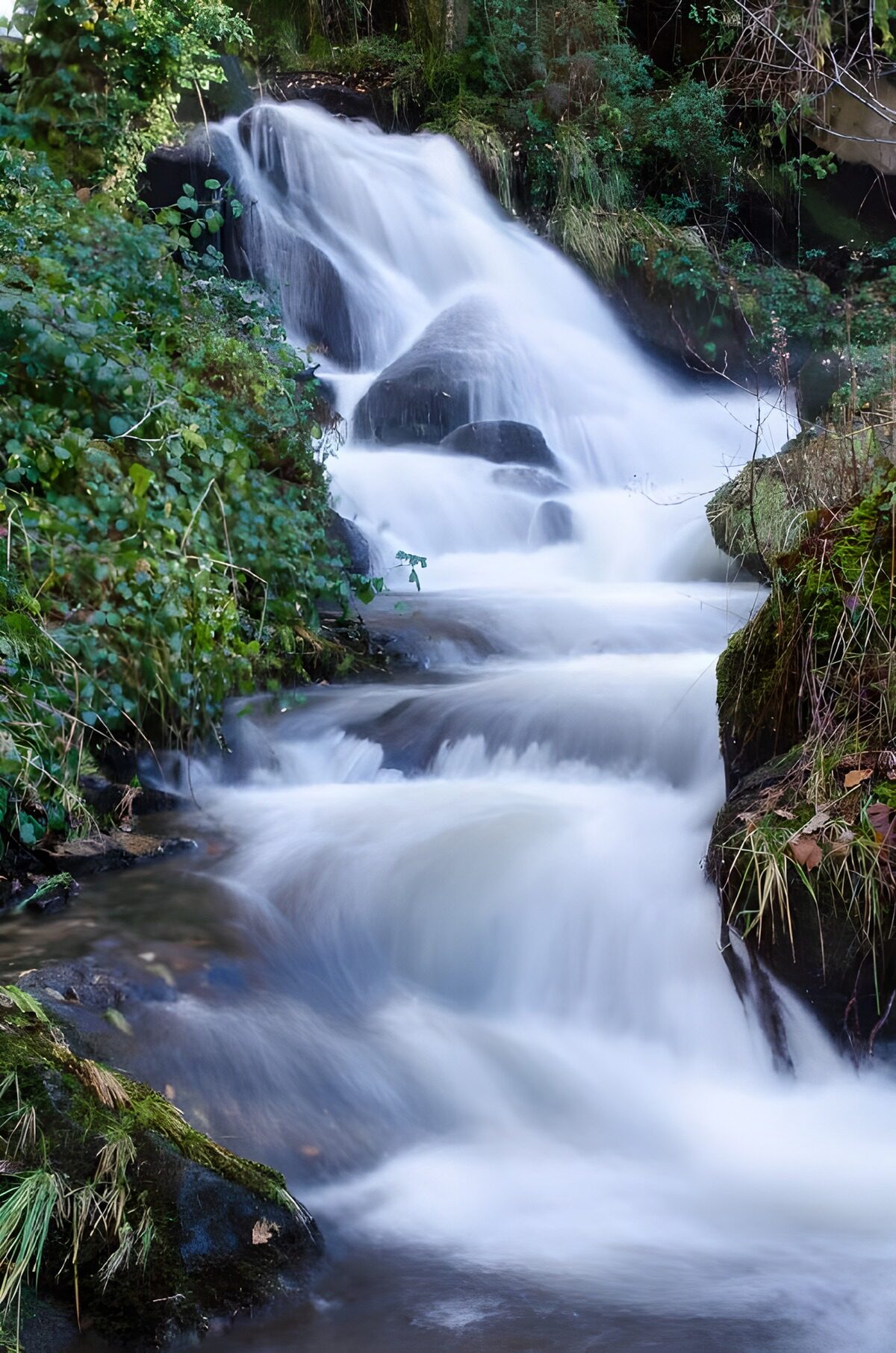 Serene Mountain Stream