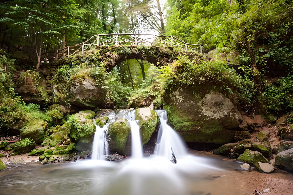 Serene Forest Waterfall and Bridge