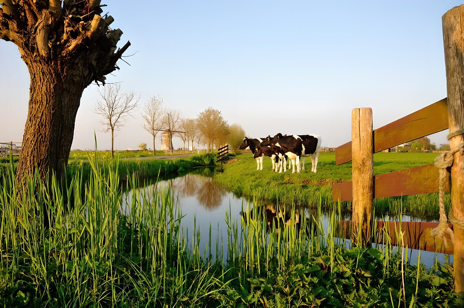OCCOM4135701: Serene Farmstead at Dusk
