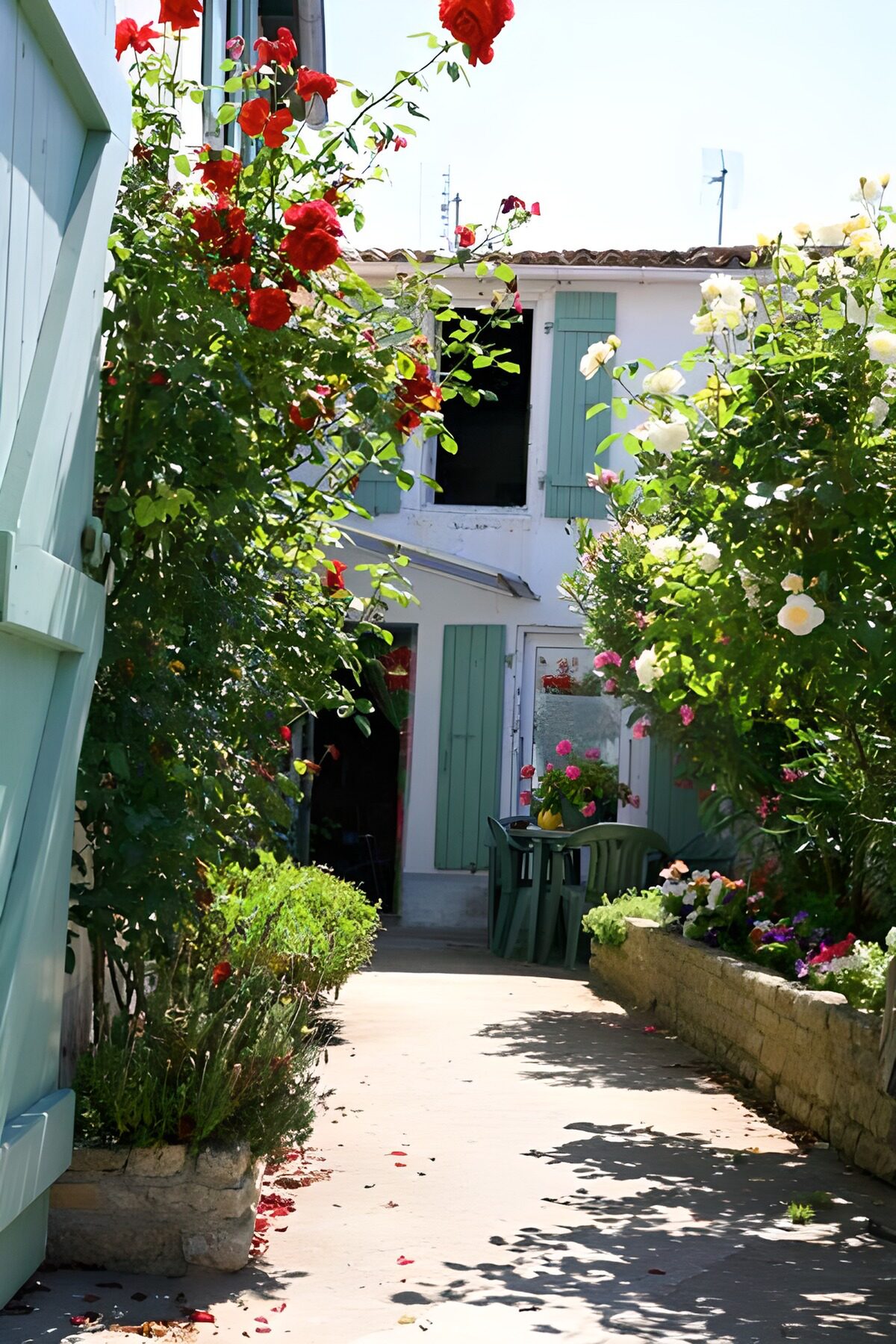 Charming Garden Pathway in Bloom