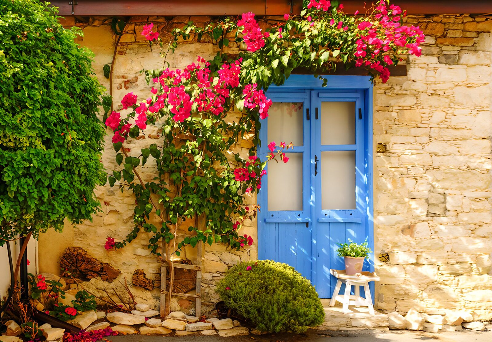 OCCOM2039662: Old wall overgrown with Bougainville
