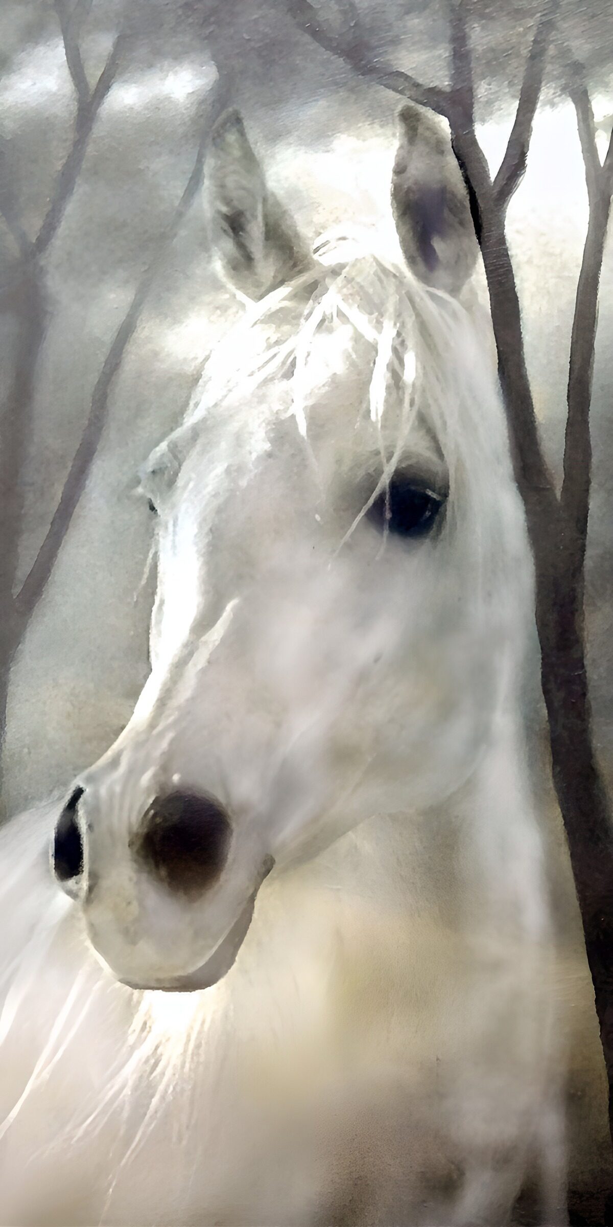 Ethereal White Horse in Misty Woods