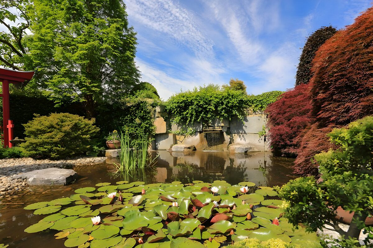 OCCOM8990334: Serenity in a Japanese Garden