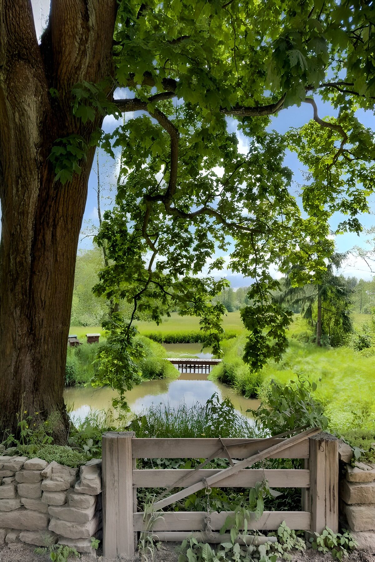 Serene Gateway to Nature