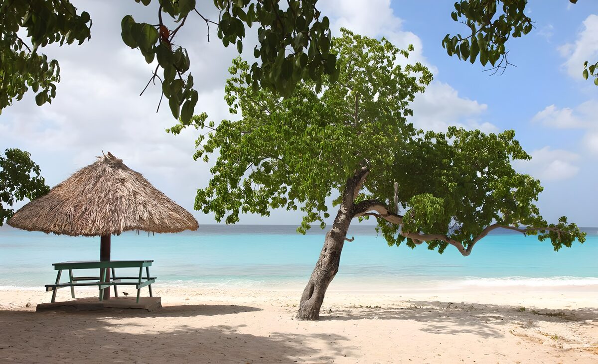 Tranquil Beach Retreat Under Blue Skies