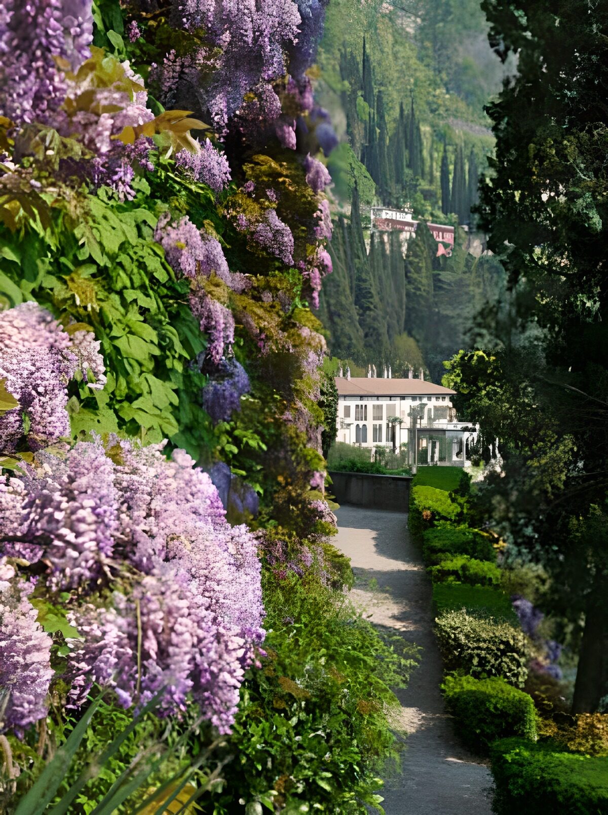 Blossoming Pathway Through a Serene Garden