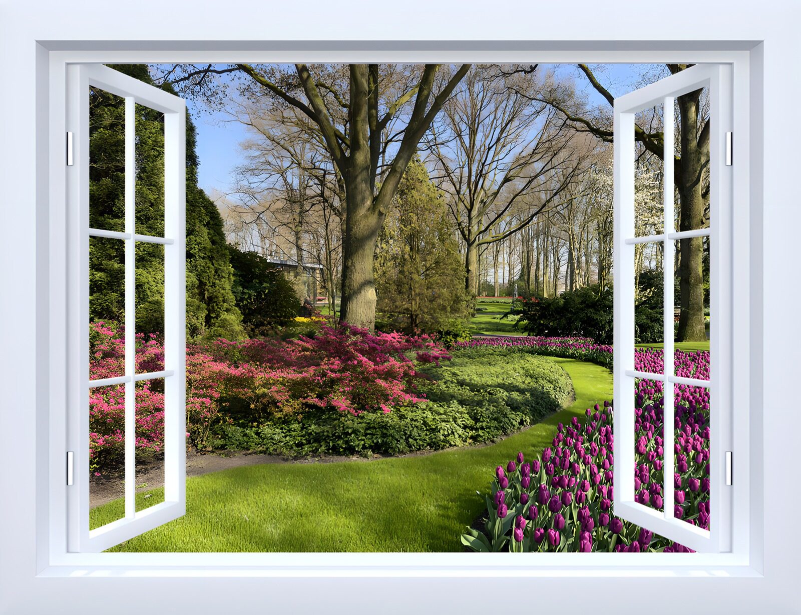OCCOM4326237: Peaceful Garden View from a Window