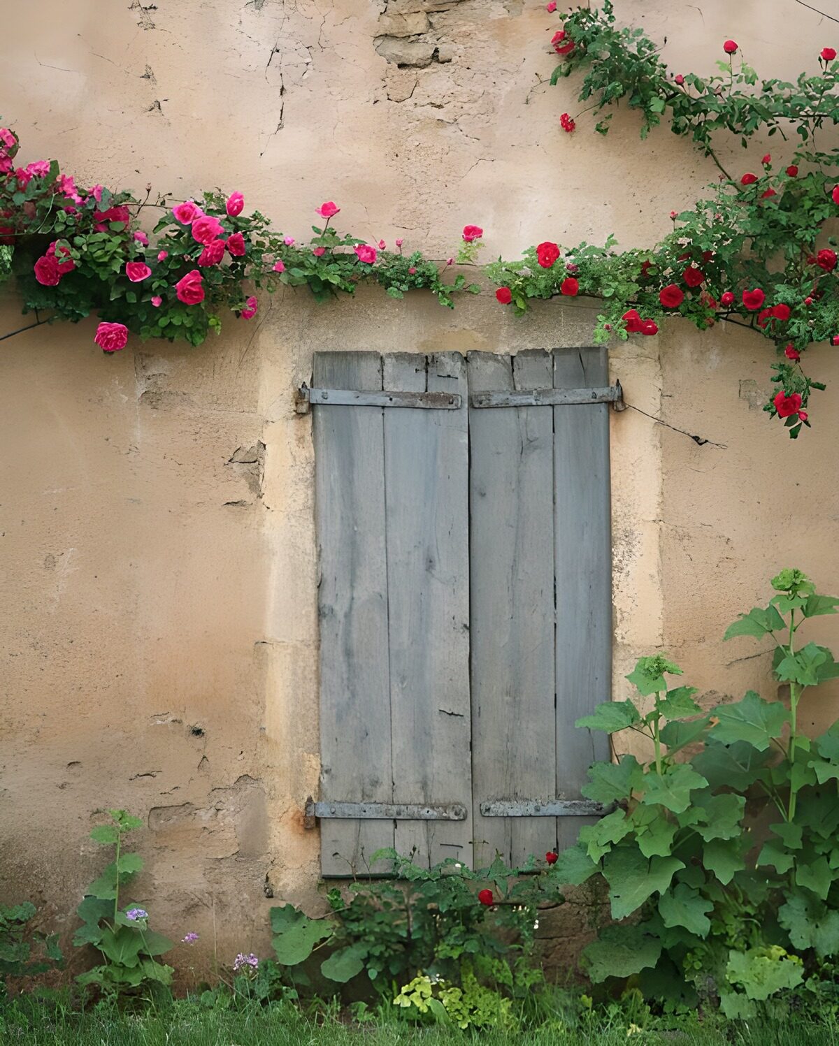 Charming Rustic Window with Roses