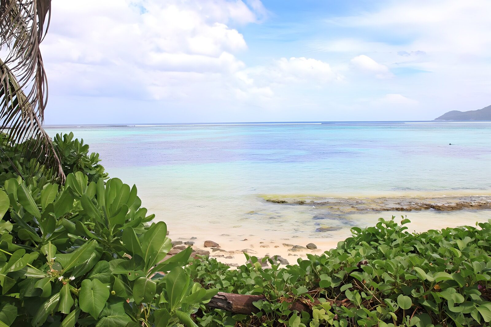 OCCOM6684782: Serene Coastal View
