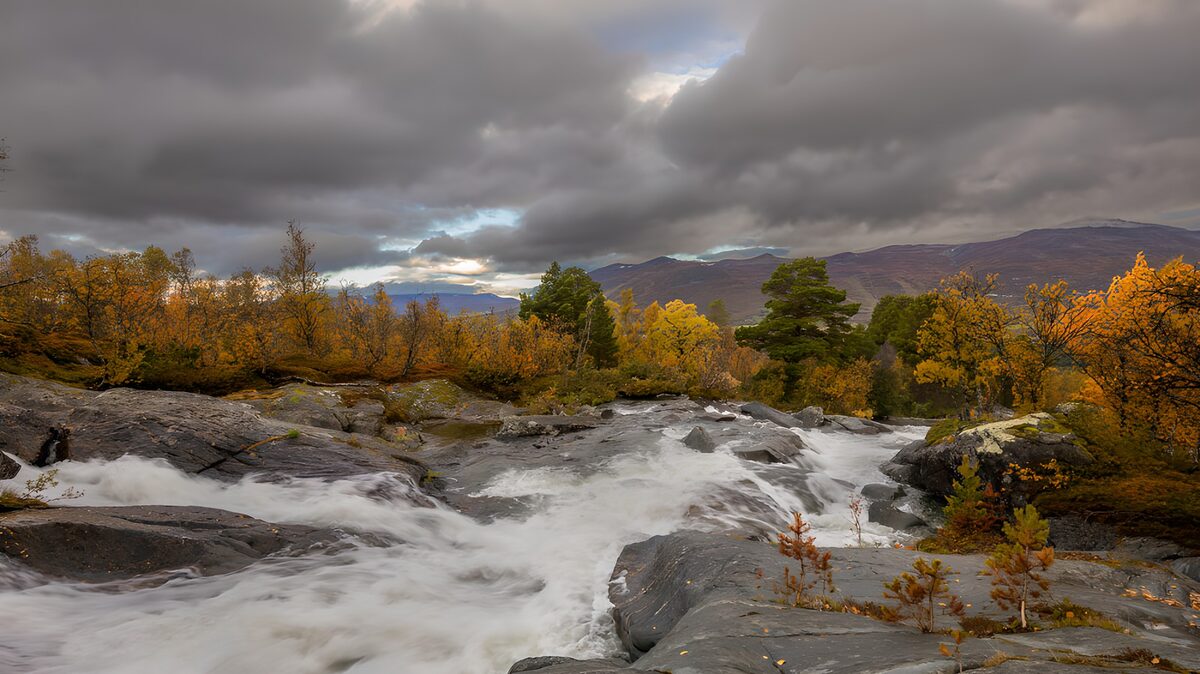 Serene Autumn Waterscape