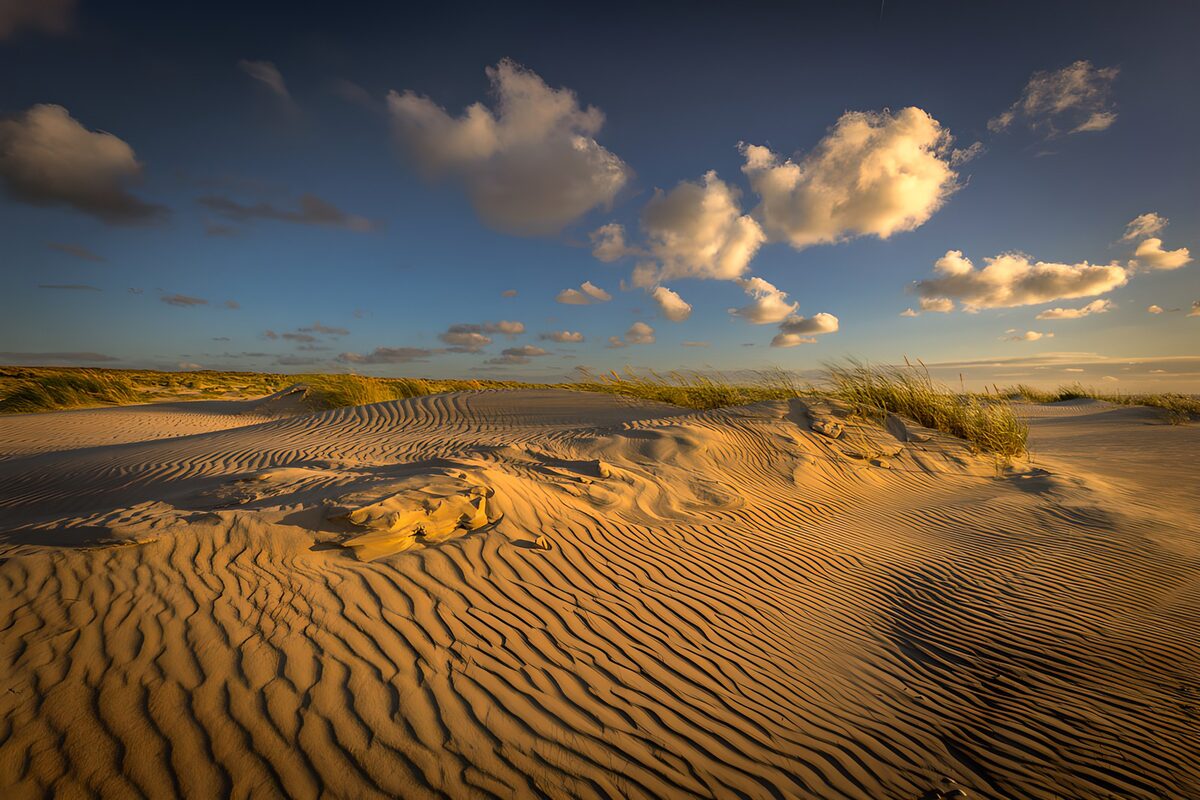 Serene Dunes at Golden Hour