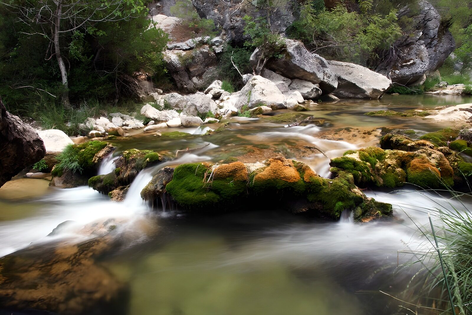 OCCOM1432106: Serene Waters of Nature
