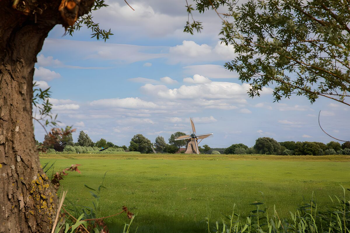 OCCOM5012554: Tranquil Dutch Windmill Scene
