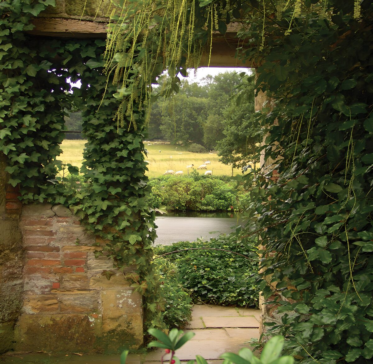 OCCOM5671604: Serene View Through a Verdant Archway