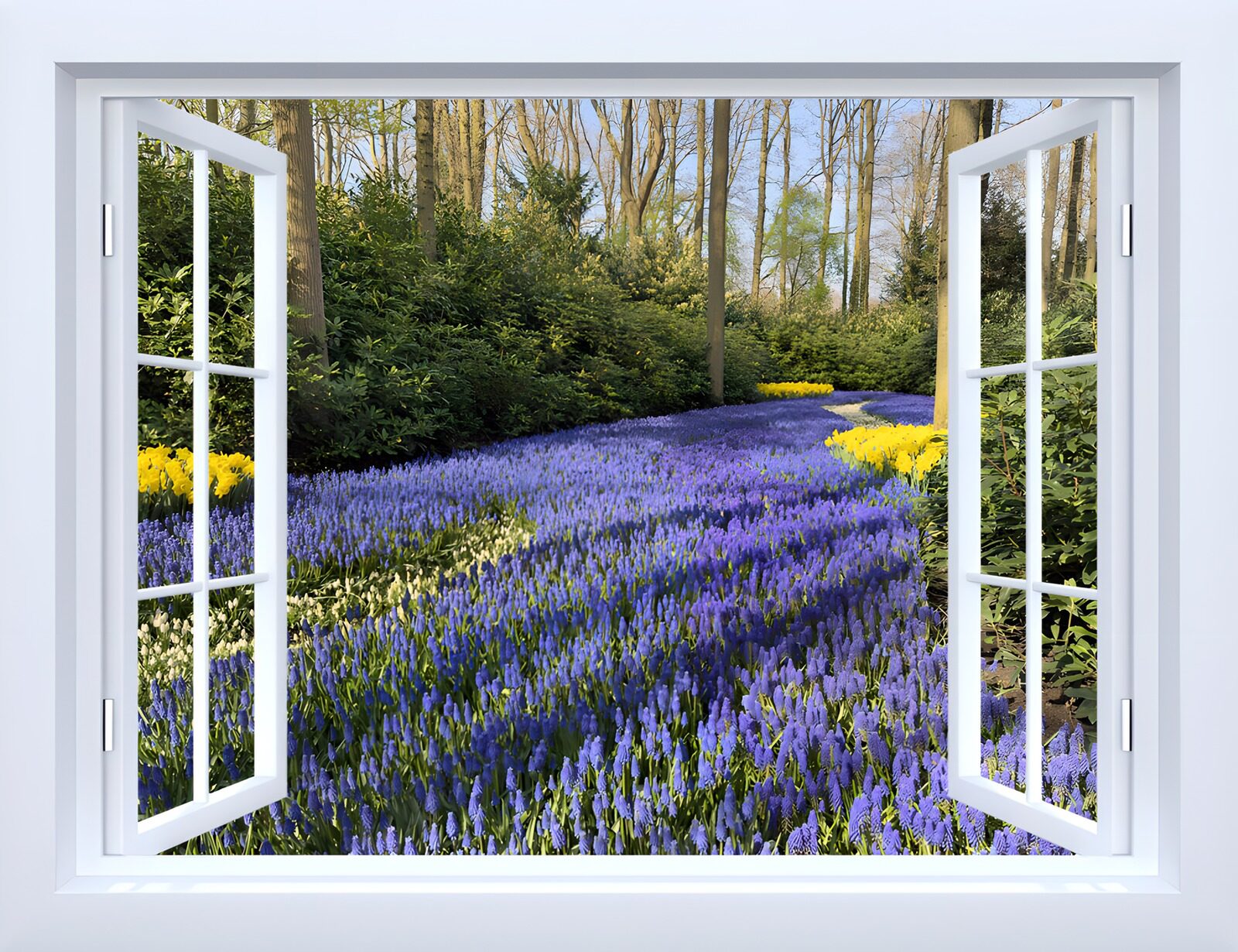 OCCOM7841367: Spring Blooms Through the Window