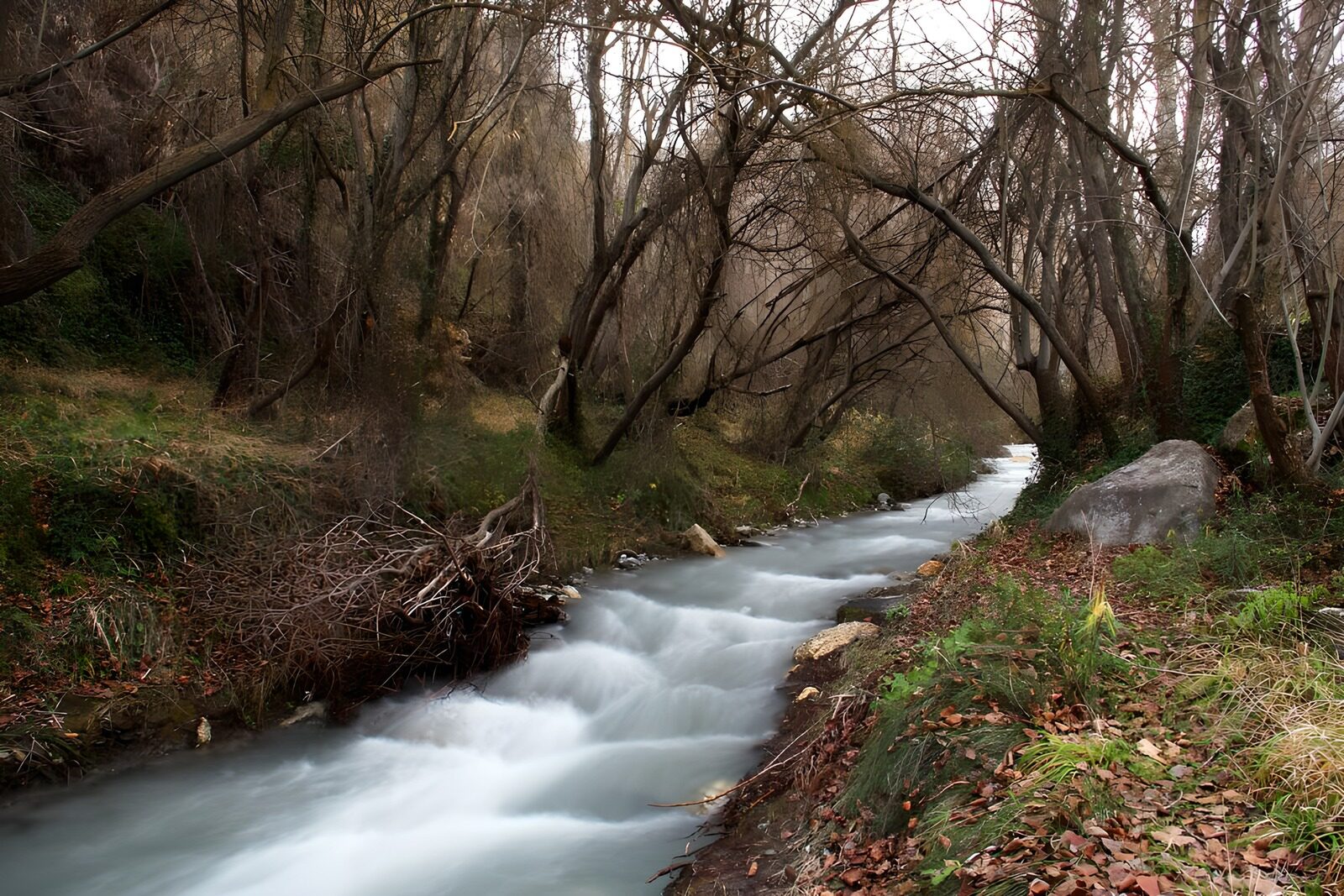 OCCOM7764111: Serene Forest Stream in Autumn