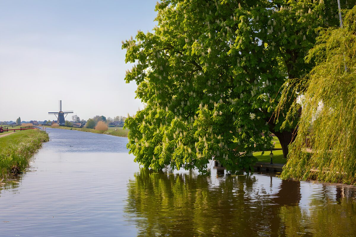 OCCOM4893273: Tranquil Dutch Canal View with Windmill
