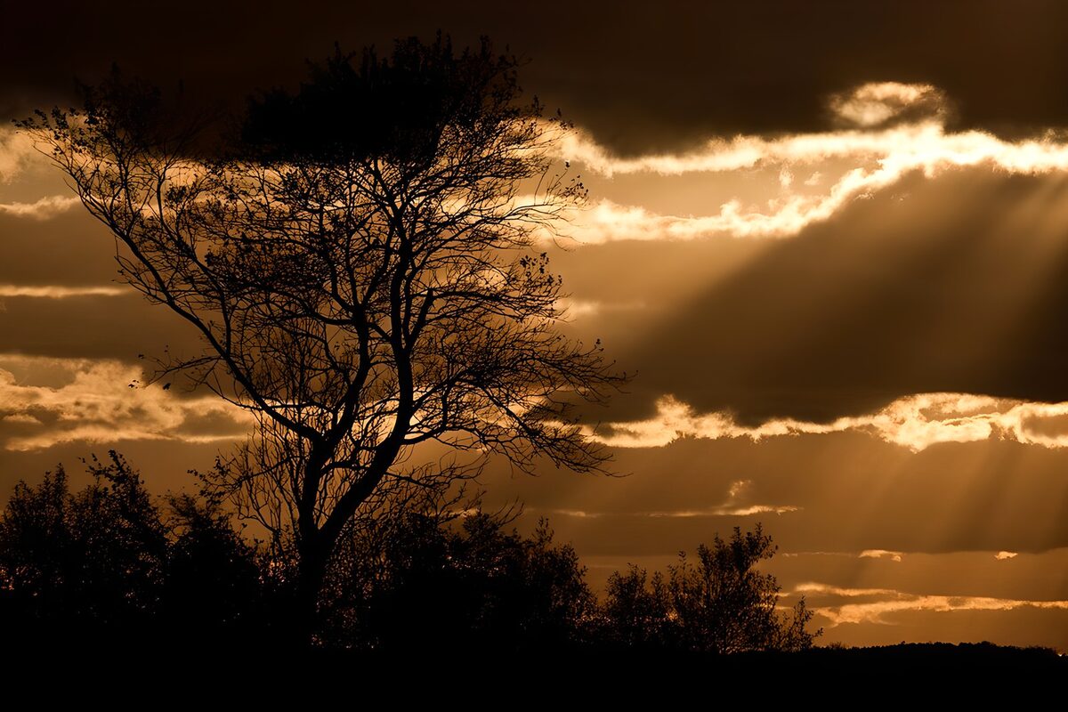 Serene Sunset Silhouette